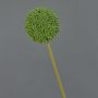 Fleur artificielle Allium BAILIN, vert, 65cm