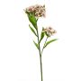 Branche fleurie artificielle œillet de poète YUFENG, crème-fuchsia, 60cm