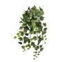Buisson de Lierre LANSHUO sur piquet, vert, 70cm