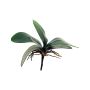 Feuilles artificielles d'orchidée Phalaenopsis XIAOQIN avec racines aériennes, 25cm
