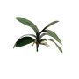 Feuilles artificielles d'orchidée Phalaenopsis XIAOQIN avec racines aériennes, 30cm