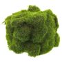 Pierre de mousse décorative YUELAN, vert, 20x14cm