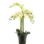 Fleur artificielle orchidée Phalaenopsis CHENXU, blanc, 60cm