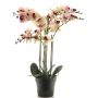 Fleur artificielle orchidée Phalaenopsis CHENXU, rose-crème, 60cm