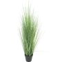 Fausse graminée Millet vivace LIFANG en pot décoratif, vert, 115cm