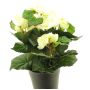 Fleur artificielle Bégonia HETIAN, crème, 25cm