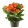 Fleur artificielle Bégonia HETIAN, orange, 25cm