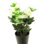 Fleur artificielle Azalée JINGSHU, crème, 25cm