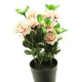 Fleur artificielle Azalée JINGSHU, crème-fuchsia, 25cm