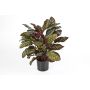 Calathea artificiel BIJAN, grand, vert-rouge, 80cm