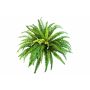 Fougère Athyrium artificielle LEAN, sur piquet, vert, 60cm, Ø85cm