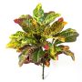Croton artificiel TAAVI sur piquet, coloré, 40cm