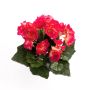 Bégonia artificiel IVANA sur piquet, fuchsia, 20cm, Ø3-5cm
