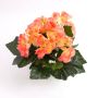 Bégonia artificiel IVANA sur piquet, saumon, 20cm, Ø3-5cm
