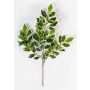 Branche de ficus synthétique AJITH, vert-blanc, 45cm