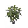 Caoutchouc artificiel NOVA, vrais troncs, vert, 90cm