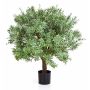 Plante artificielle Crossostephium KATANA, vrai tronc, vert, 70cm
