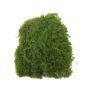 Tapis de mousse artificielle ENKAI, vert, 22x15cm