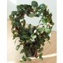 Jasmin de Madagascar artificiel SERRA, blanc, 65cm, Ø50cm