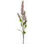 Branche artificielle de Phytolacca SULIYA, baies, rouge bourgogne, 95cm