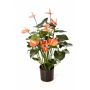 Bouquet d’Anthurium artificiel LEVANA, rose, 80cm, 8x10cm