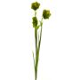 Fleur décorative Campanule WENXIN, vert, 80cm