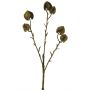 Branche décorative Physalis CUIXIA avec fruits, vieil or, 40cm