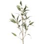 Branche d'eucalyptus en tissu JURKA avec des fruits, vert-gris, 115cm