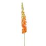 Fleur artificielle Eremurus NITTI, orange, 130cm