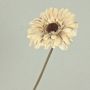 Fleur en plastique Gerbera TUNGUSKA, aspect sec, crème-beige, 50cm