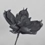 Magnolia en mousse synthétique AMILIE, paillettes, noir, 30cm, Ø26cm