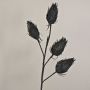 Eryngium en mousse synthétique MISAEL avec des paillettes, noir, 120cm
