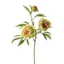 Branche artificielle Pivoine MANJA, vert-fuchsia, 70cm, Ø8-10cm