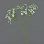 Branche artificielle Gypsophile SIKINOS, blanc, 65cm