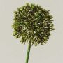 Allium artificiel HELLA, scintillant, vert-or, 45cm