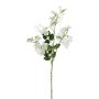 Branche artificielle Lathyrus latifolius PLENVO, blanc, 75cm