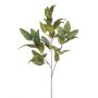 Branche d'eucalyptus artificielle BELUNI, vert, 125cm