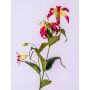 Gloriosa artificielle FUJITA, fuchsia-jaune, 80cm, Ø15cm