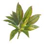 Fausse cordyline VALDA, sur piquet, vert-rouge, 30cm