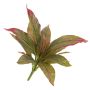 Fausse cordyline VALDA, sur piquet, rouge-vert, 30cm