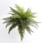 Fougère royale artificielle AARON, sur piquet, vert, 50cm, Ø65cm