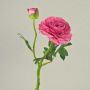 Renoncule artificielle KALEA, rose fuchsia, 35cm, Ø9cm
