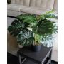 Philodendron artificiel Monstera Deliciosa MUNIN, 55cm