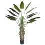 Faux heliconia KASIYA, vert, 300cm