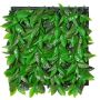 Haie décorative / mat de photinia CHAVA, vert, 50x50cm