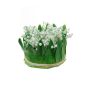 Arrangement de muguet artificiel IKENNA, blanc, 12cm, Ø16cm