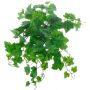 Suspension de vigne artificielle IGNATIUS, collection écologique, vert, 50cm