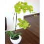 Orchidée Phalaenopsis artificielle AURELIA en pot en céramique, vert, 55cm
