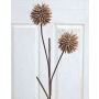 Allium artificiel CHIRARA, brun, 95cm, Ø10cm