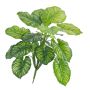 Calathea en plastique ULANI, sur piquet, vert, 45cm